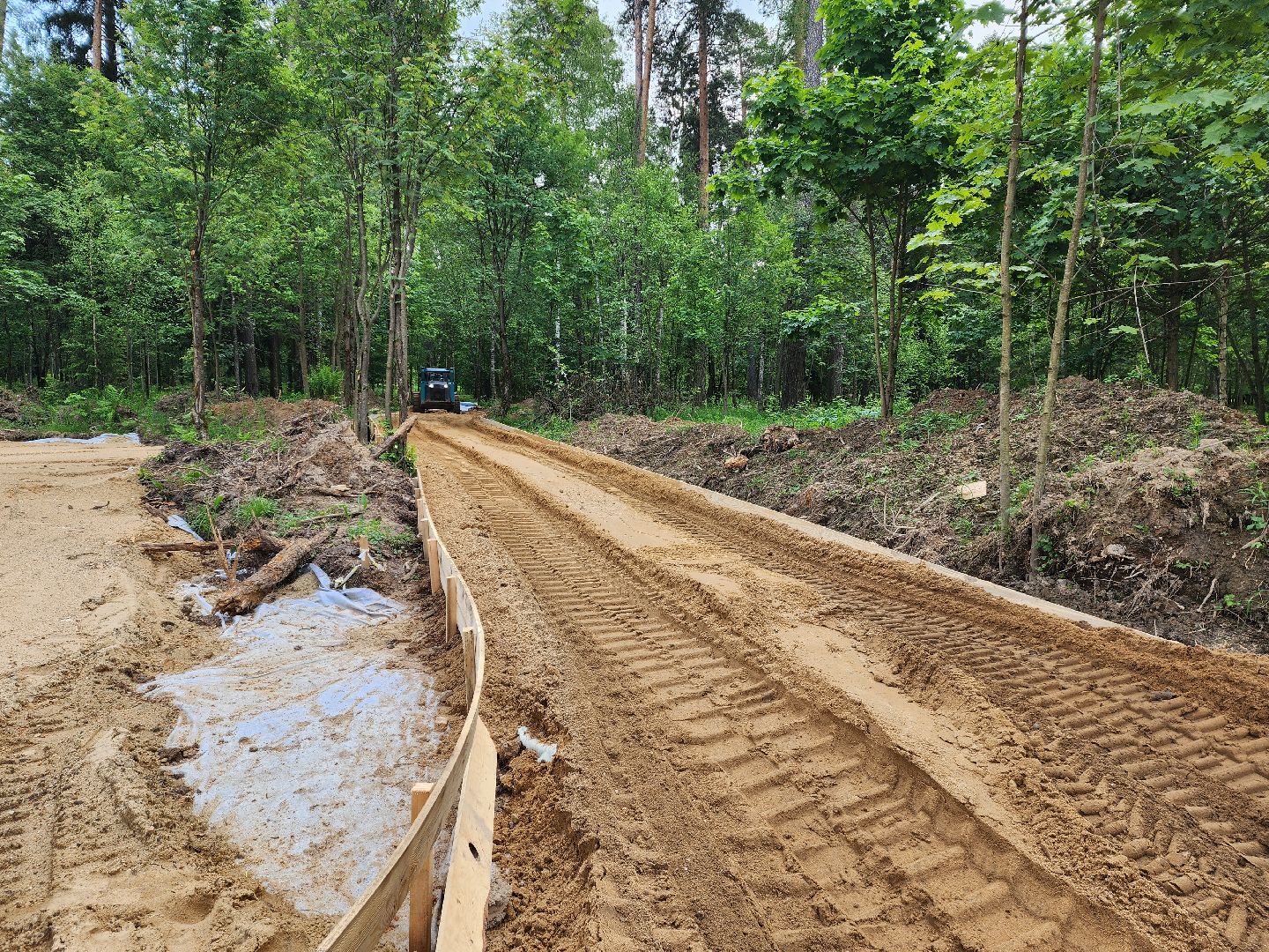 красноармейск, городской округ пушкинский, лесопарк, банный лес, павильон проката,