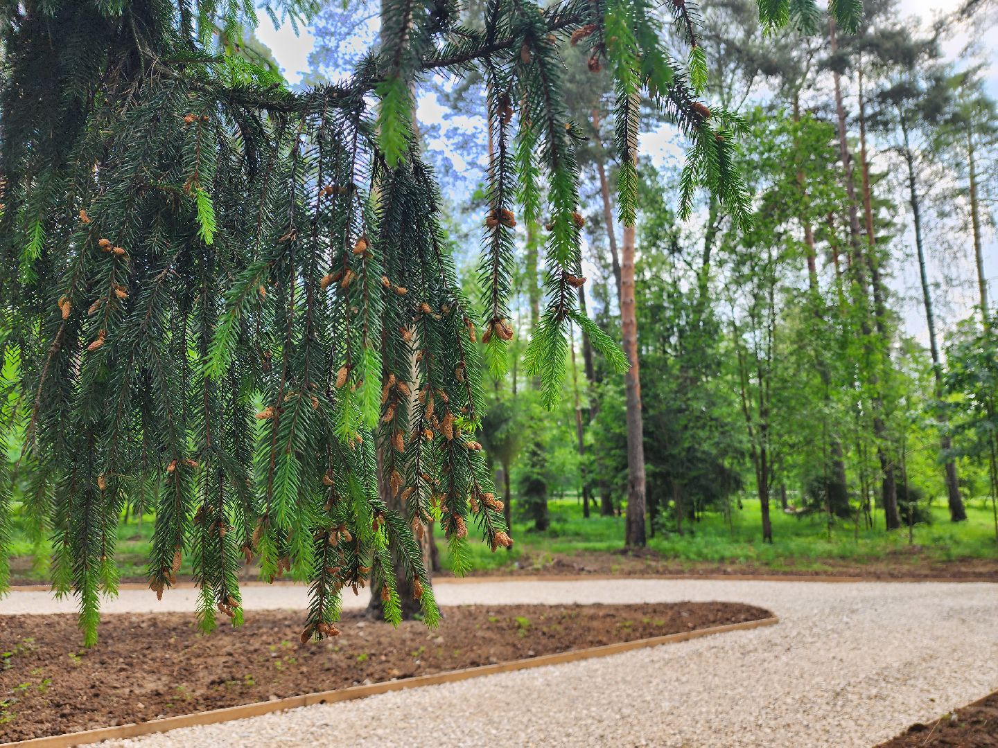 красноармейск, городской округ пушкинский, лесопарк, банный лес, павильон проката,