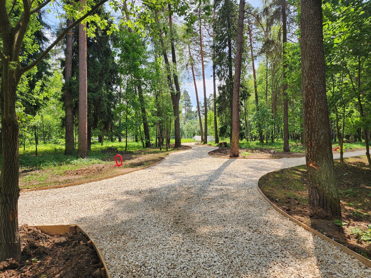 красноармейск, городской округ пушкинский, лесопарк, банный лес, павильон проката,