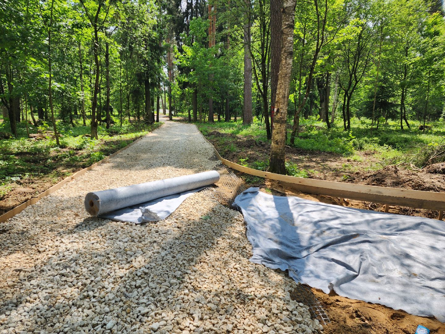 красноармейск, городской округ пушкинский, лесопарк, банный лес, павильон проката,