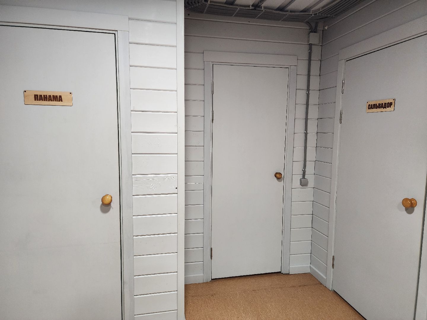 неискусственный интеллект, алексей чадов, шатурский округ, лагерь терра ностра,съемки фильма,