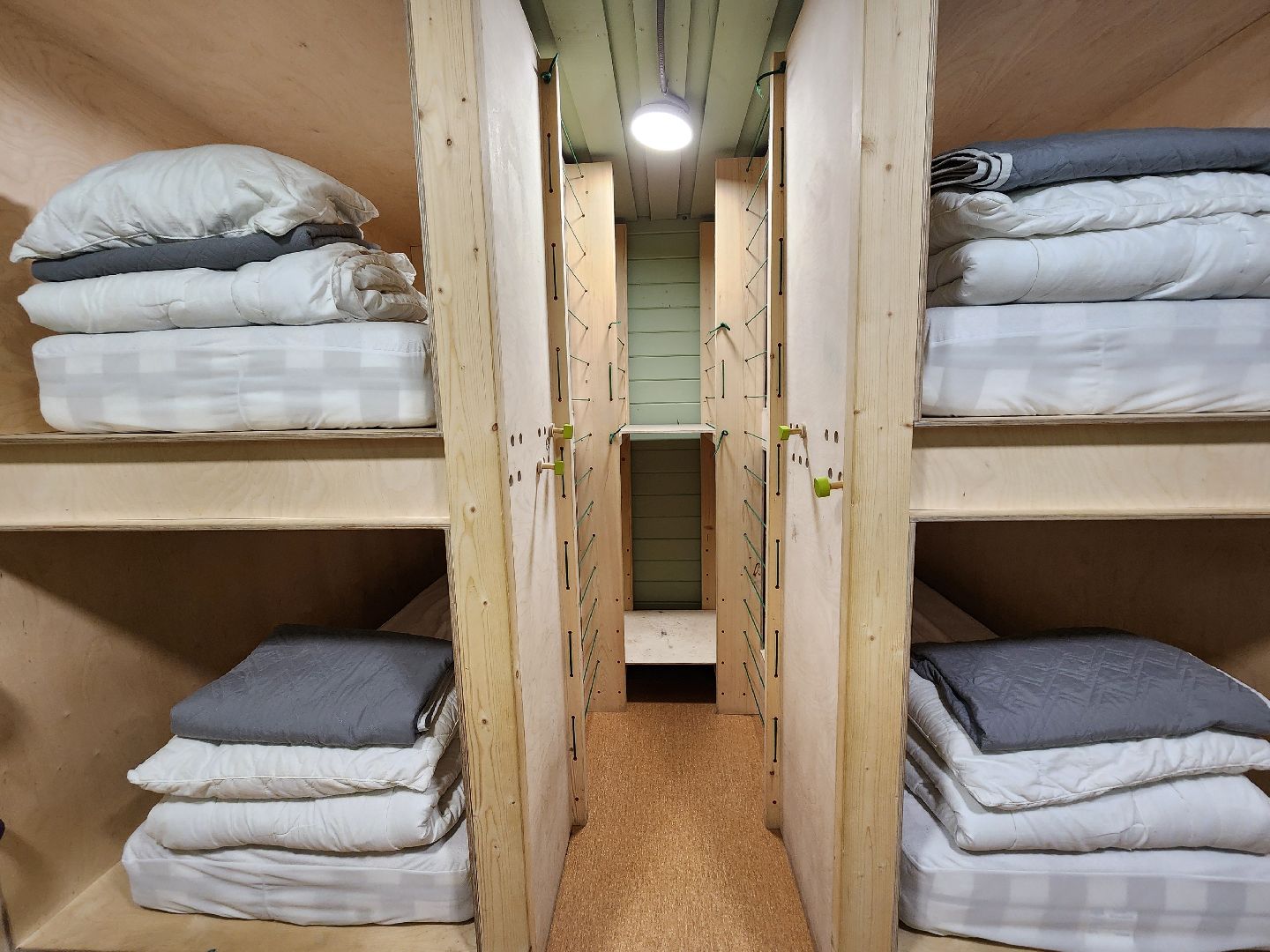 неискусственный интеллект, алексей чадов, шатурский округ, лагерь терра ностра,съемки фильма,