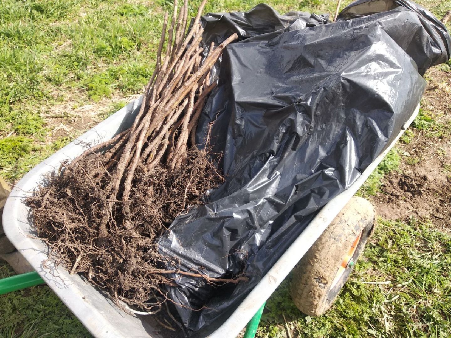 Дмитров, Семейный бизнес, Минсельхоз МО