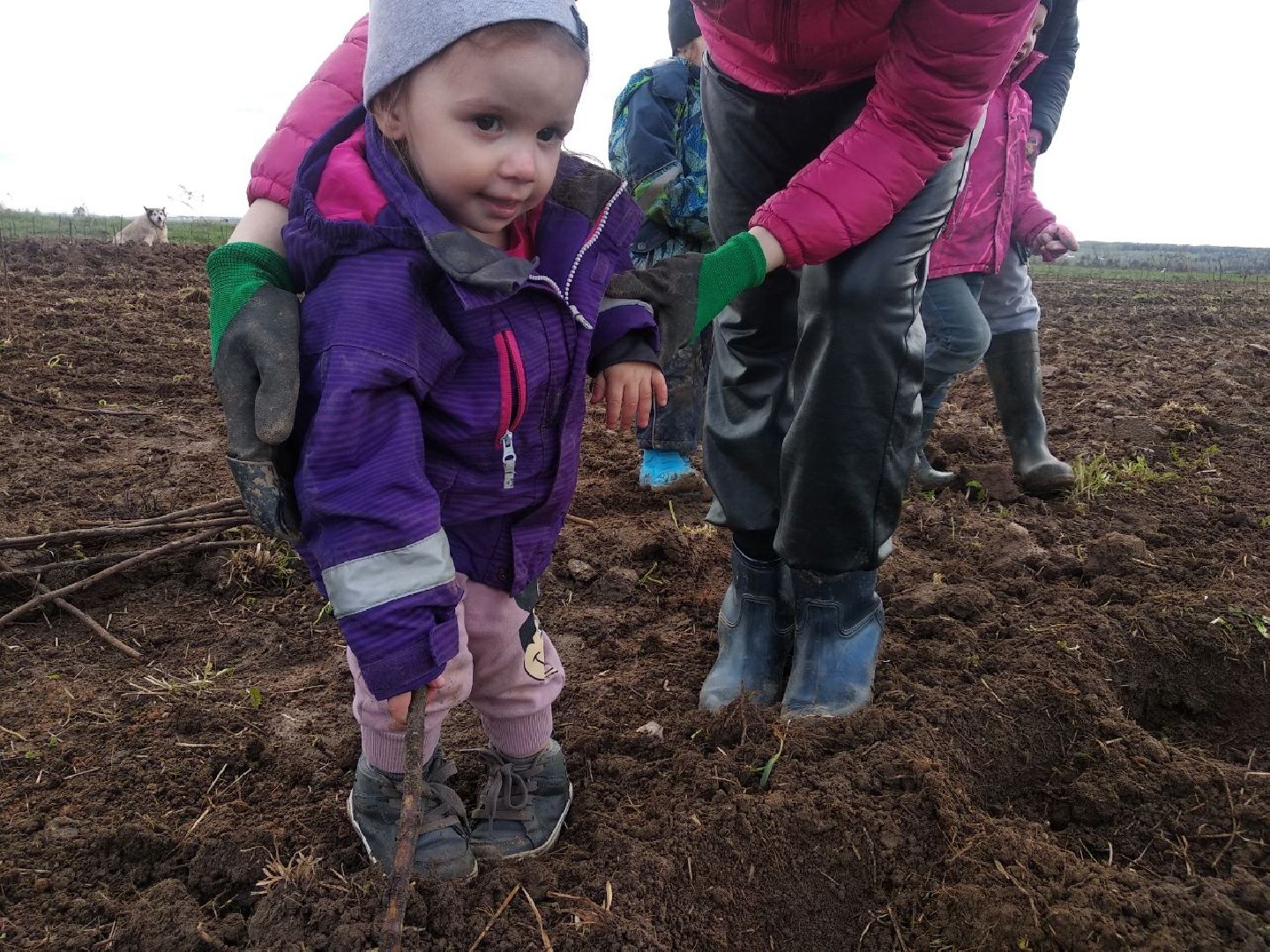 Дмитров, Семейный бизнес, Минсельхоз МО
