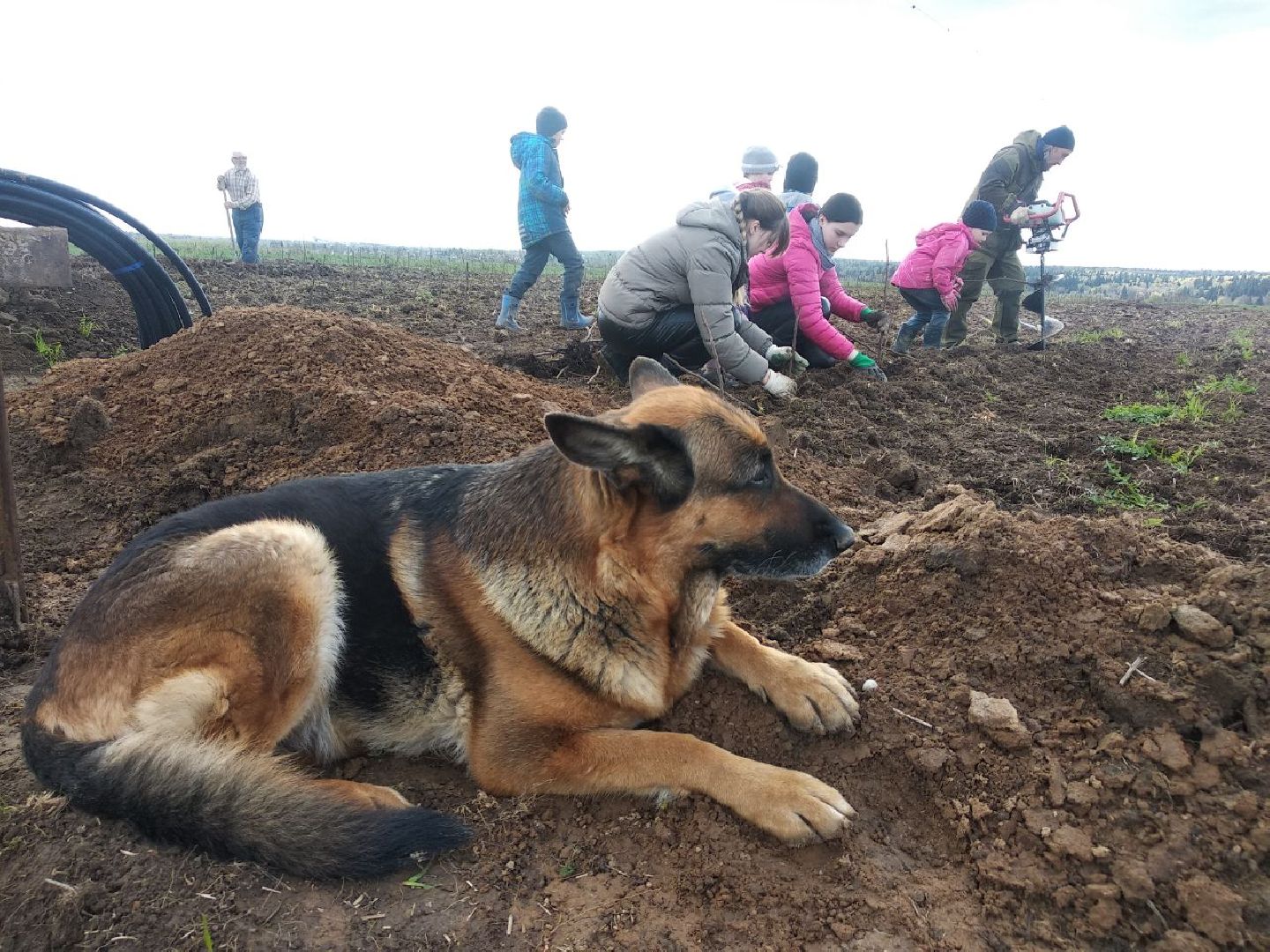 Дмитров, Семейный бизнес, Минсельхоз МО