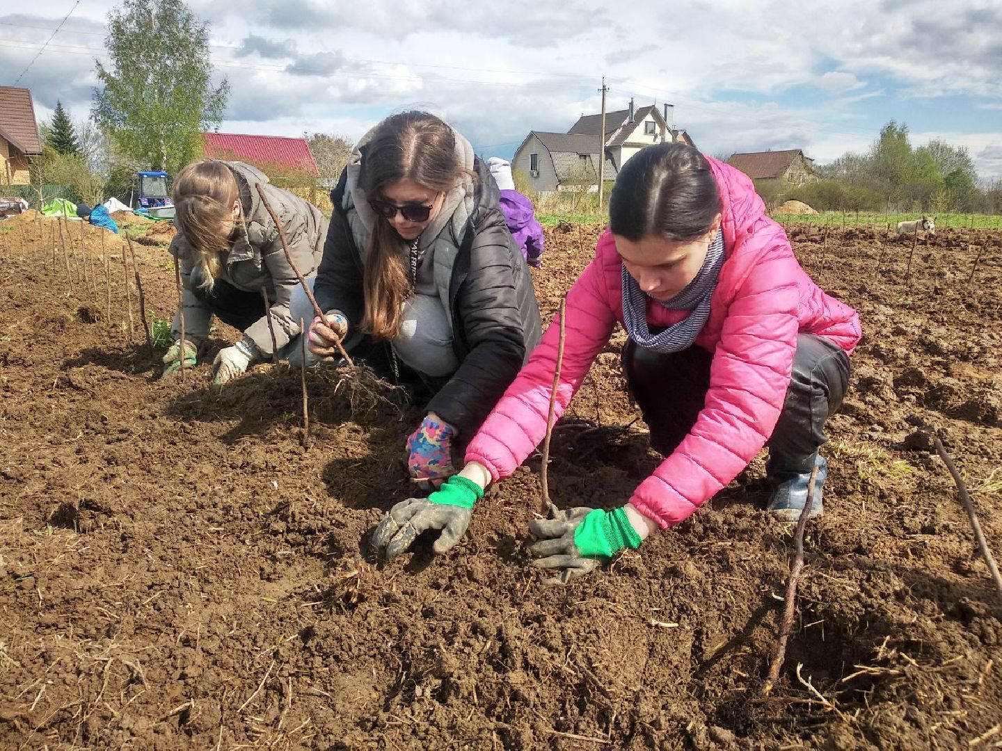 Дмитров, Семейный бизнес, Минсельхоз МО
