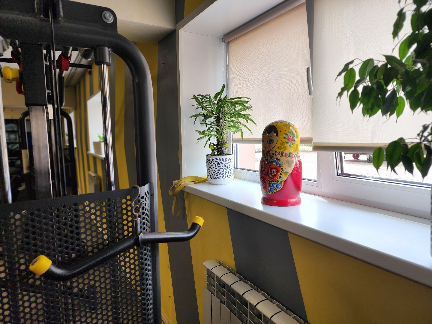 сергиев посад, мма, смешанные единоборства, rising star, кудрявцев михаил,