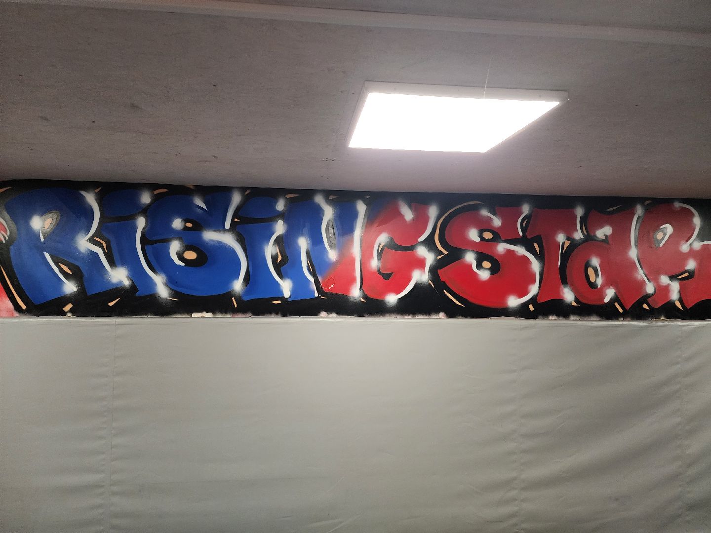 сергиев посад, мма, смешанные единоборства, rising star, кудрявцев михаил,