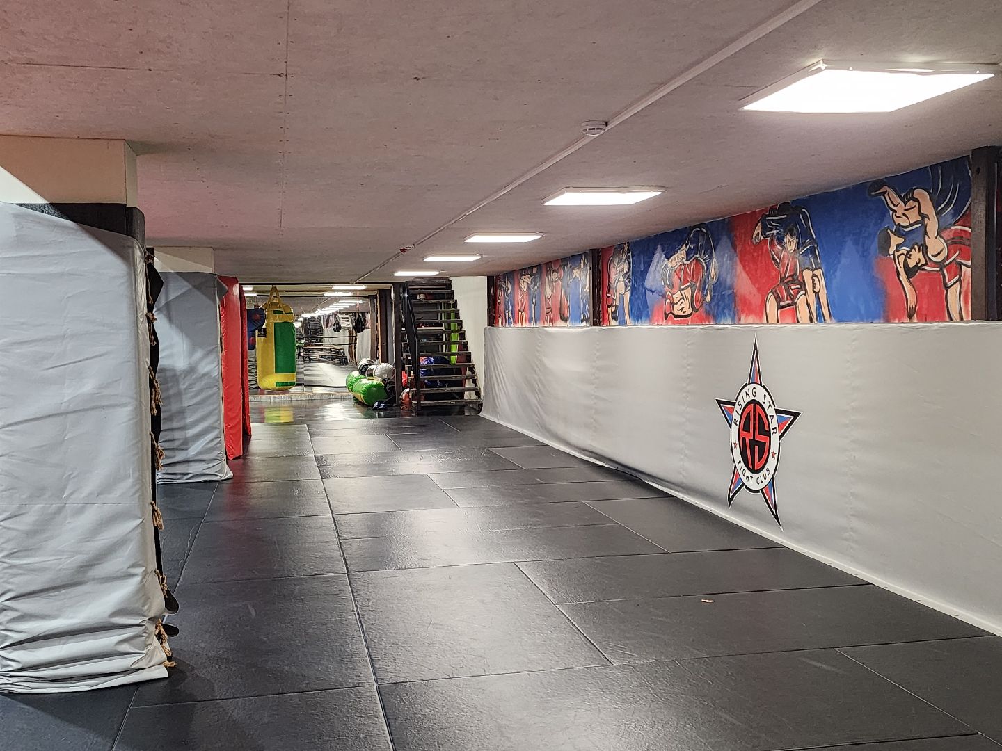 сергиев посад, мма, смешанные единоборства, rising star, кудрявцев михаил,