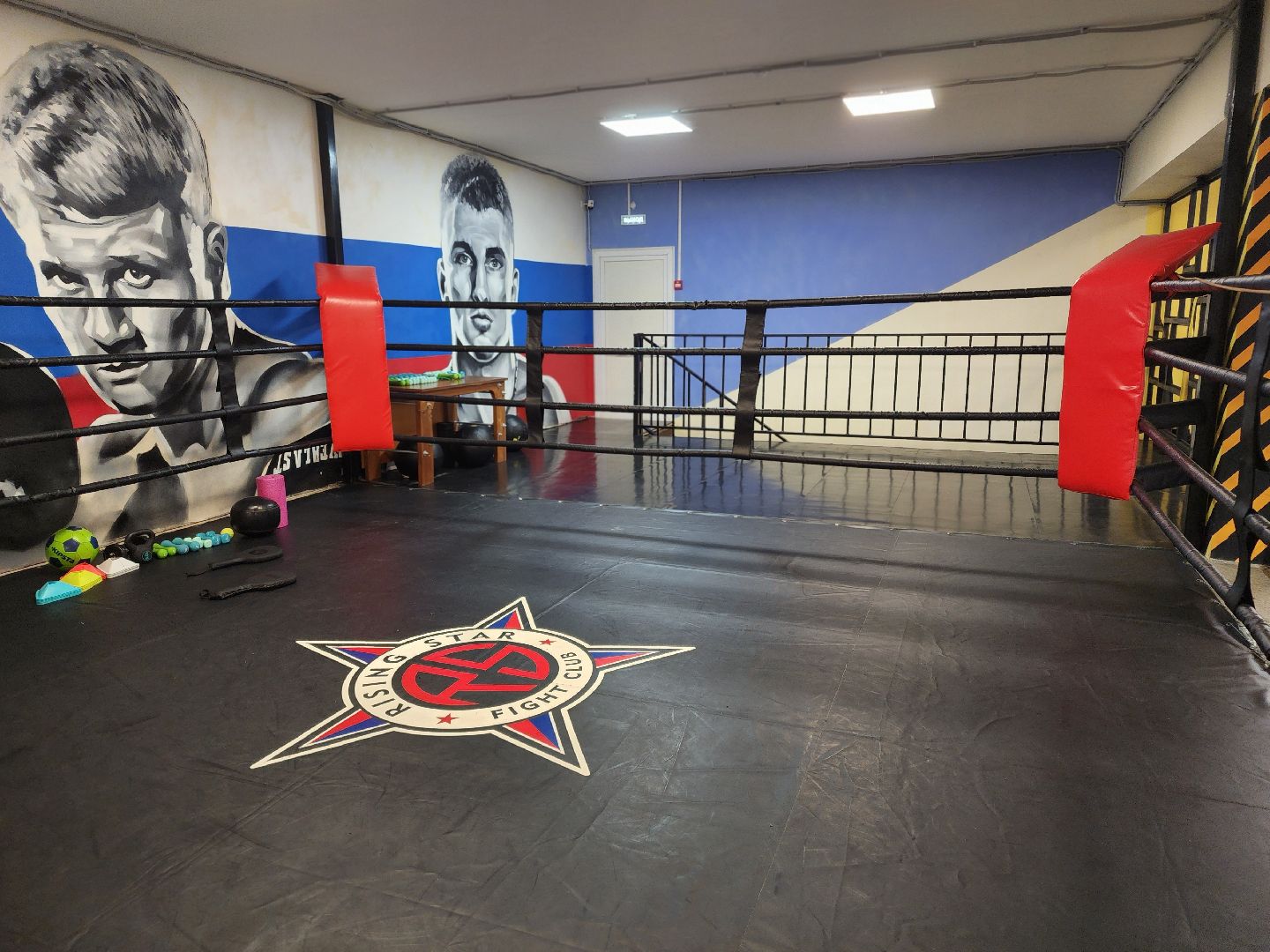 сергиев посад, мма, смешанные единоборства, rising star, кудрявцев михаил,