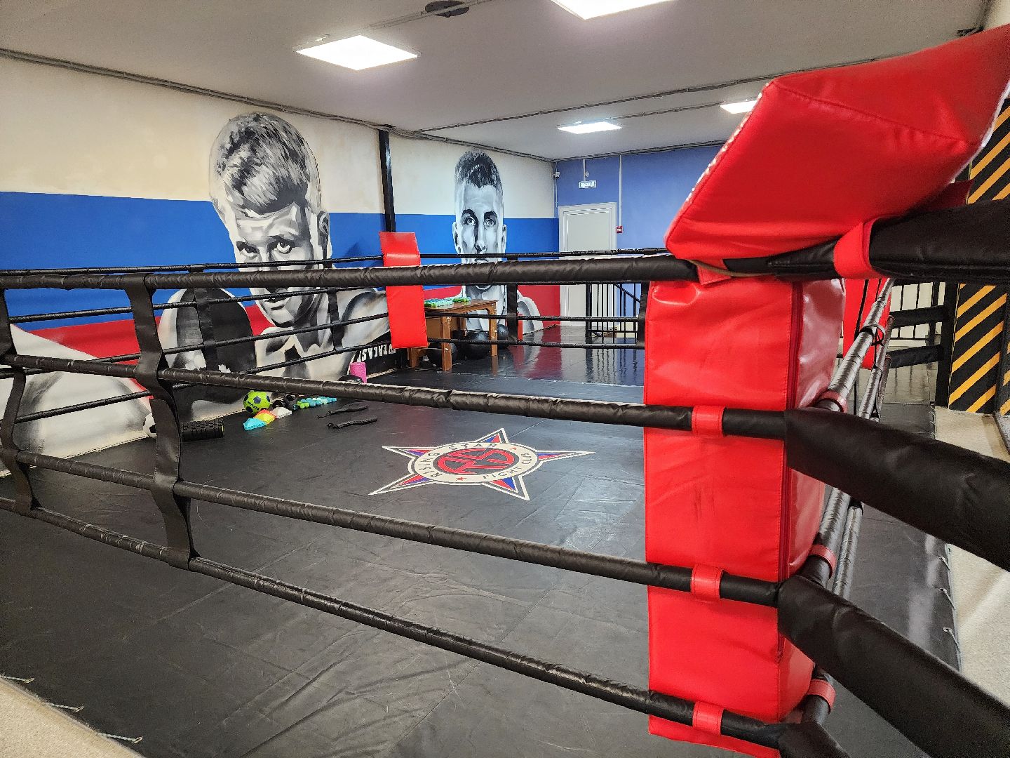 сергиев посад, мма, смешанные единоборства, rising star, кудрявцев михаил,