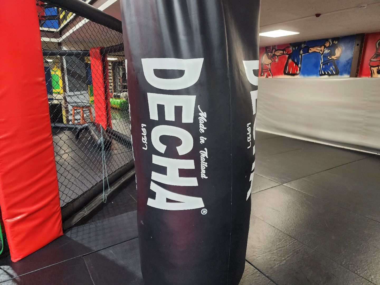 сергиев посад, мма, смешанные единоборства, rising star, кудрявцев михаил,