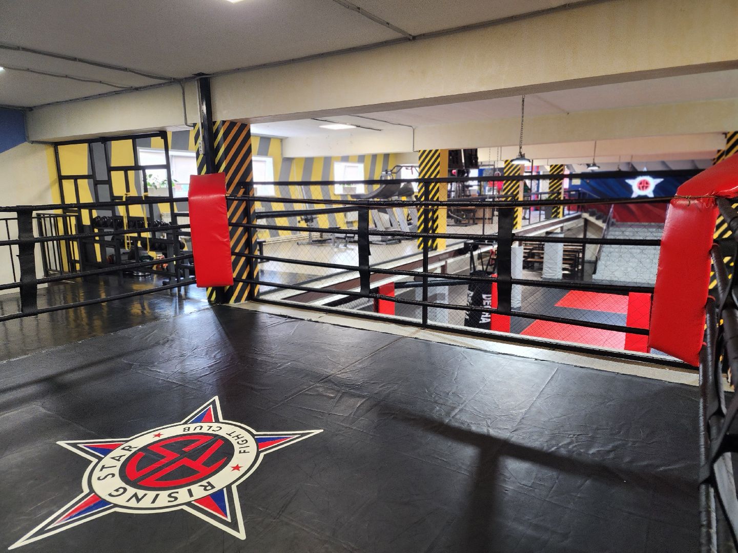 сергиев посад, мма, смешанные единоборства, rising star, кудрявцев михаил,