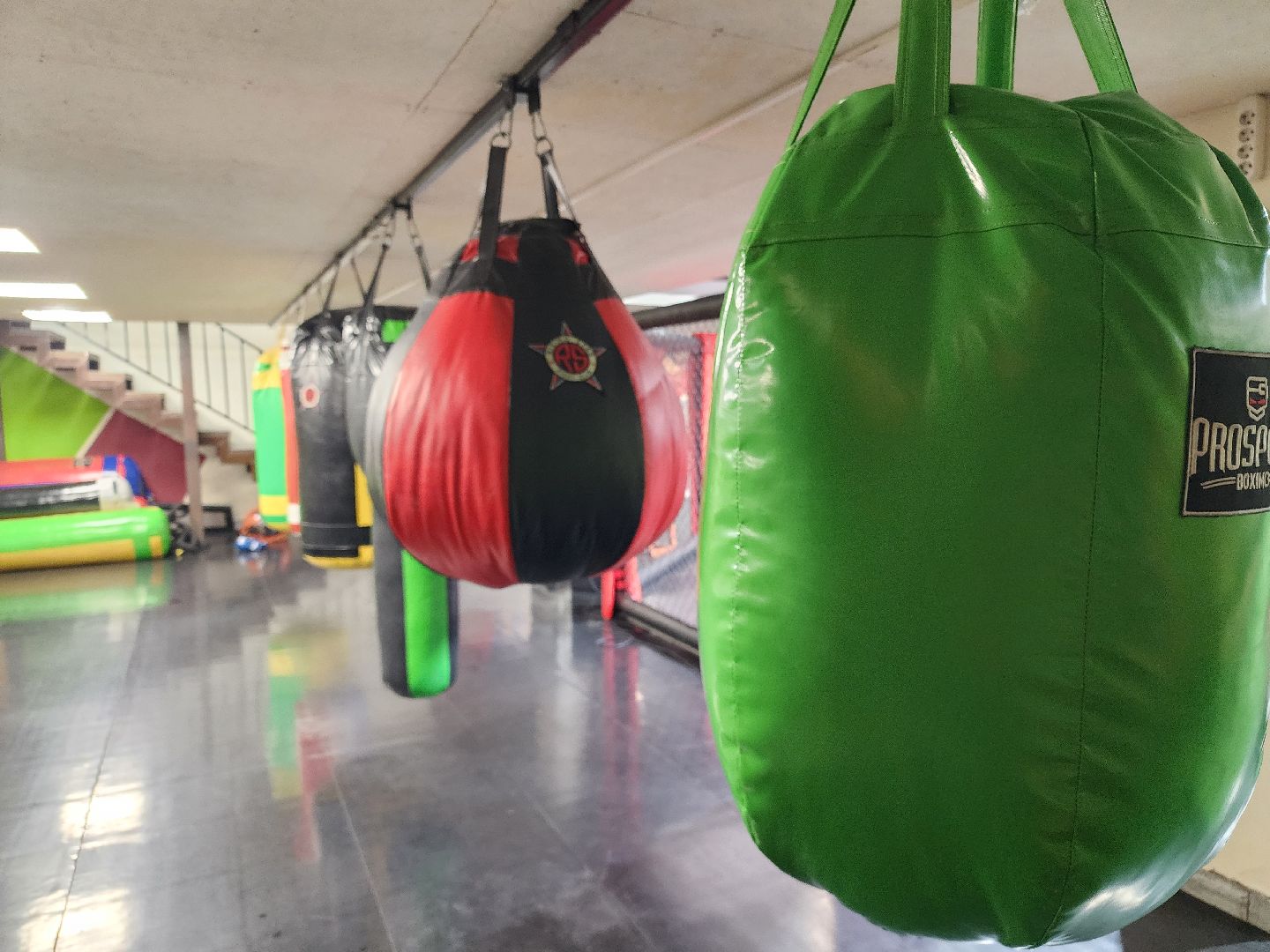 сергиев посад, мма, смешанные единоборства, rising star, кудрявцев михаил,