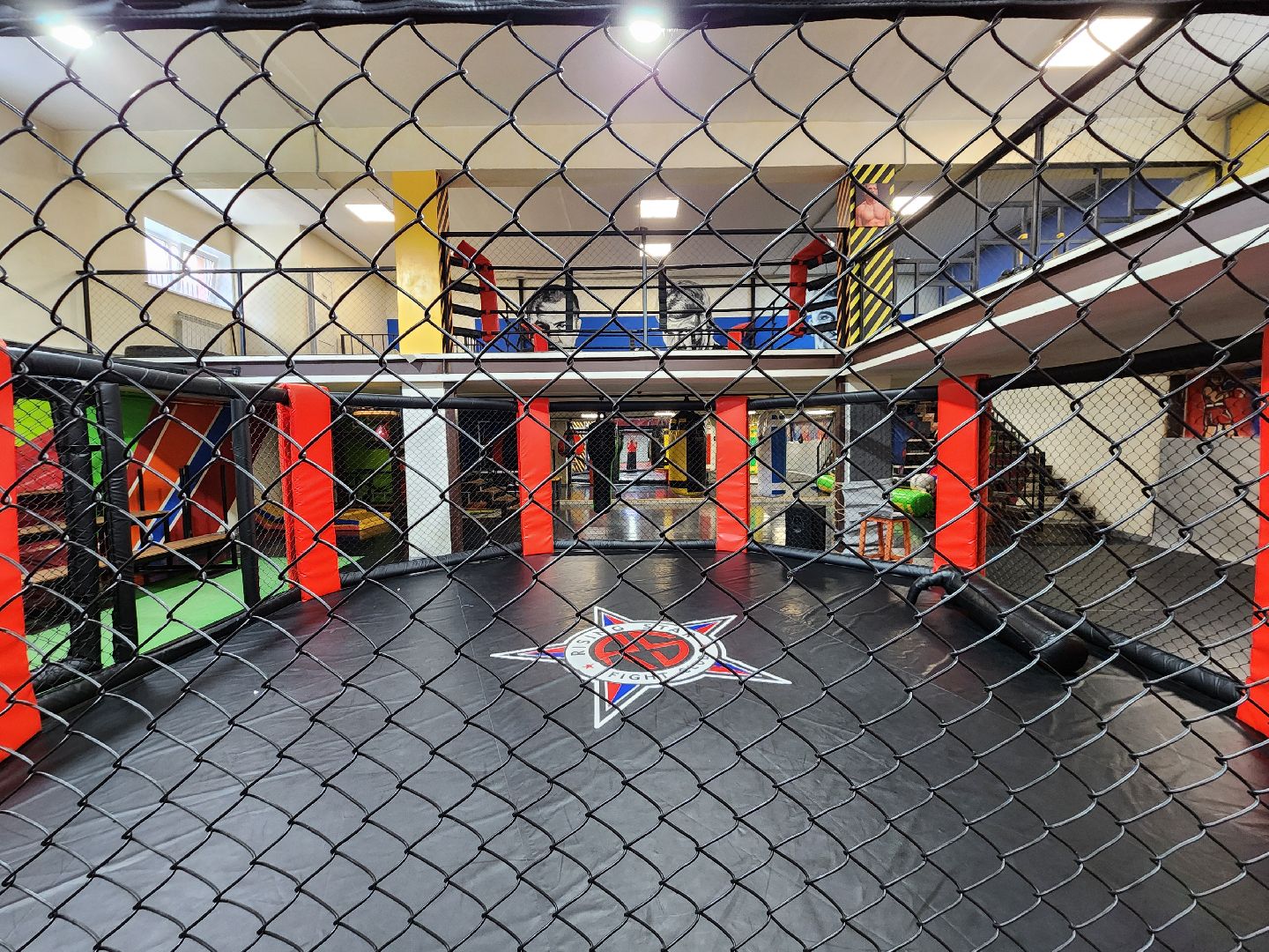 сергиев посад, мма, смешанные единоборства, rising star, кудрявцев михаил,