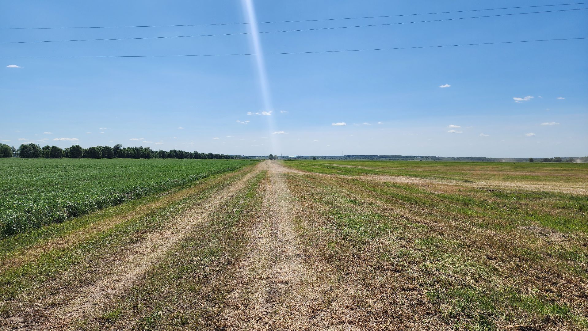 ПлемзаводПойма #СельскоеХозяйство ,