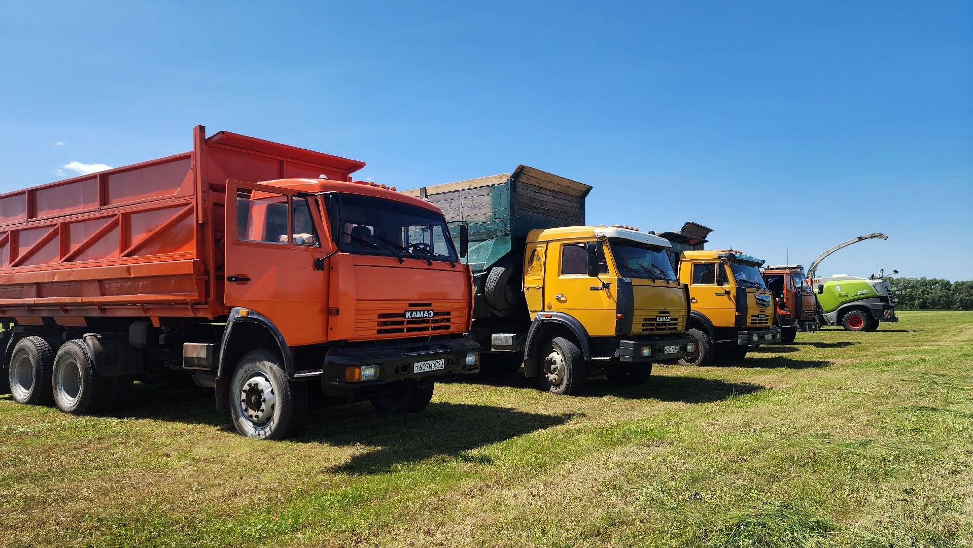 ПлемзаводПойма #СельскоеХозяйство ,