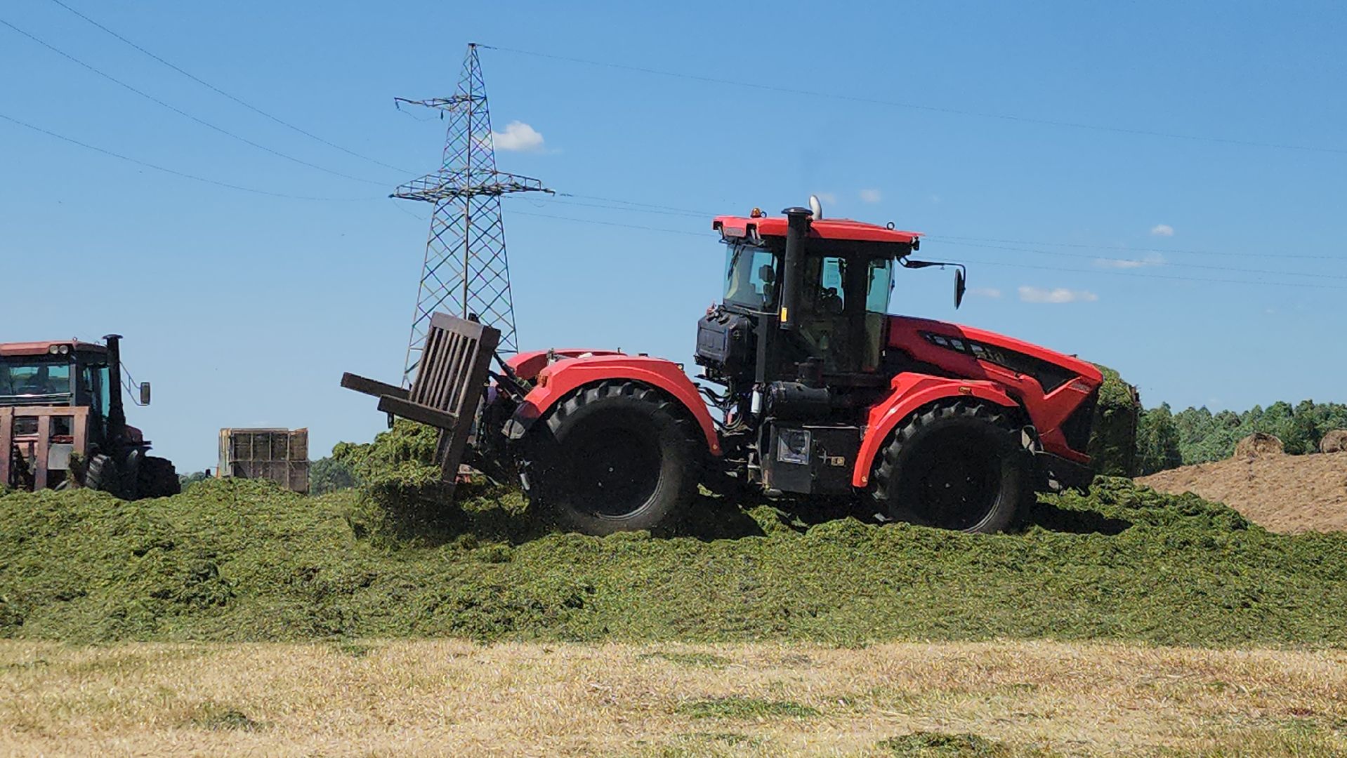 ПлемзаводПойма #СельскоеХозяйство ,