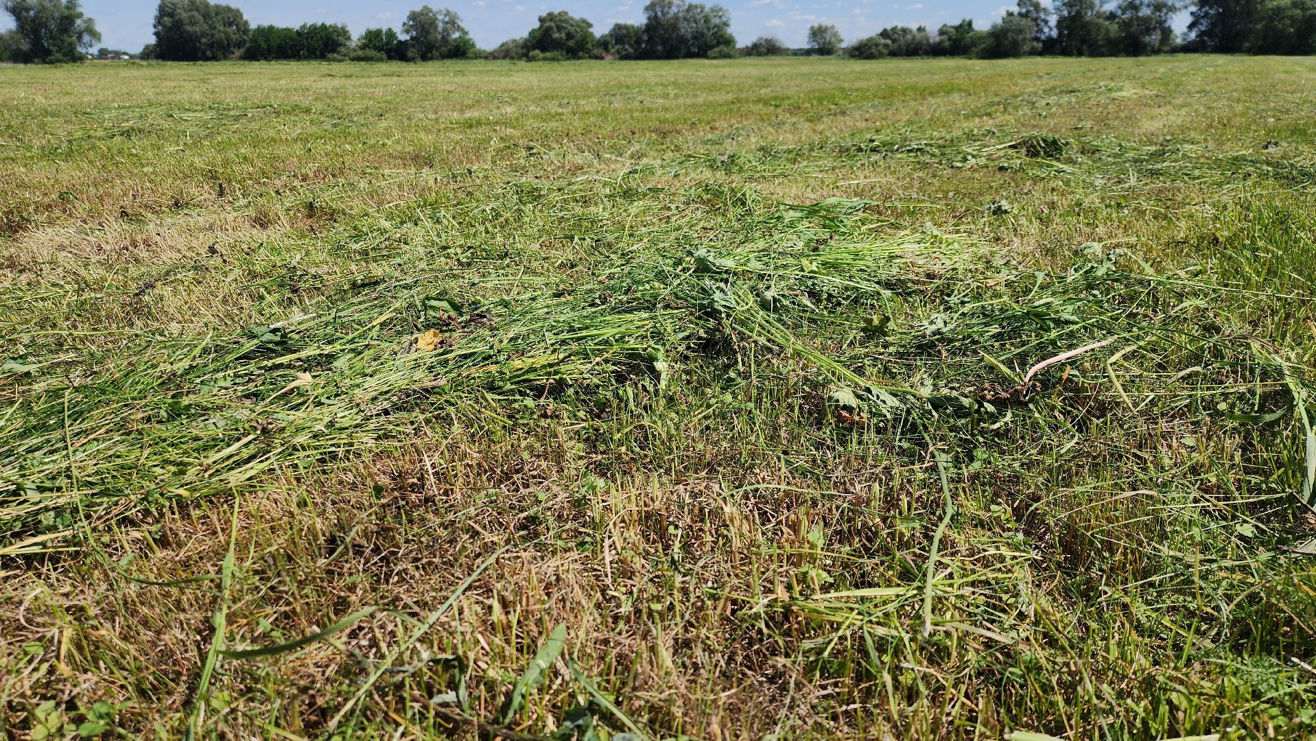 ПлемзаводПойма #СельскоеХозяйство ,