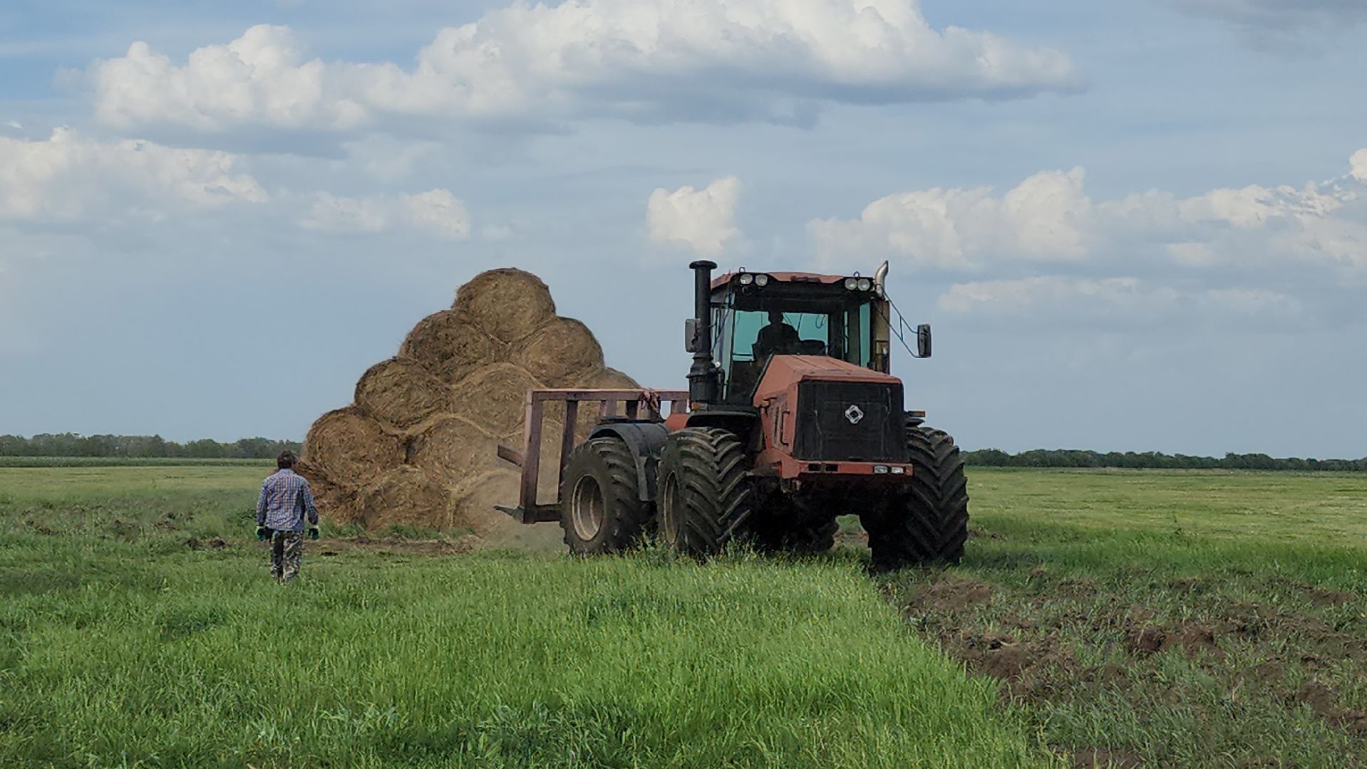 ПлемзаводПойма #СельскоеХозяйство ,
