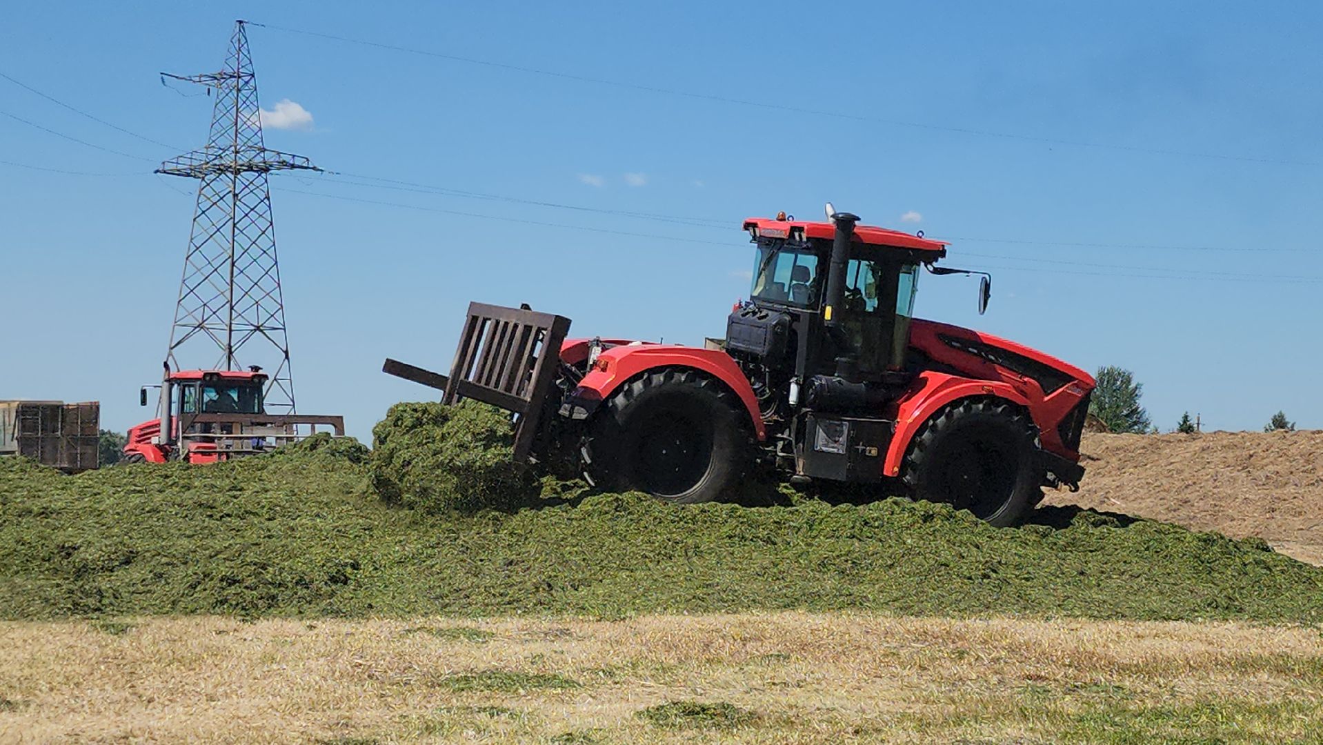 ПлемзаводПойма #СельскоеХозяйство ,