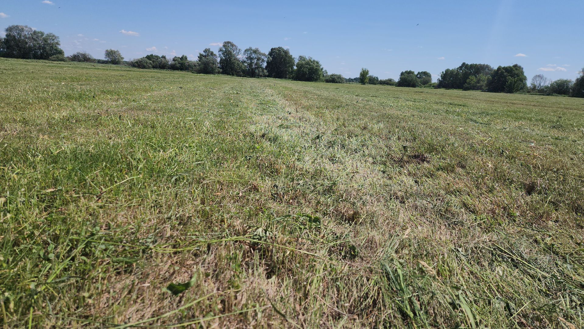 ПлемзаводПойма #СельскоеХозяйство ,