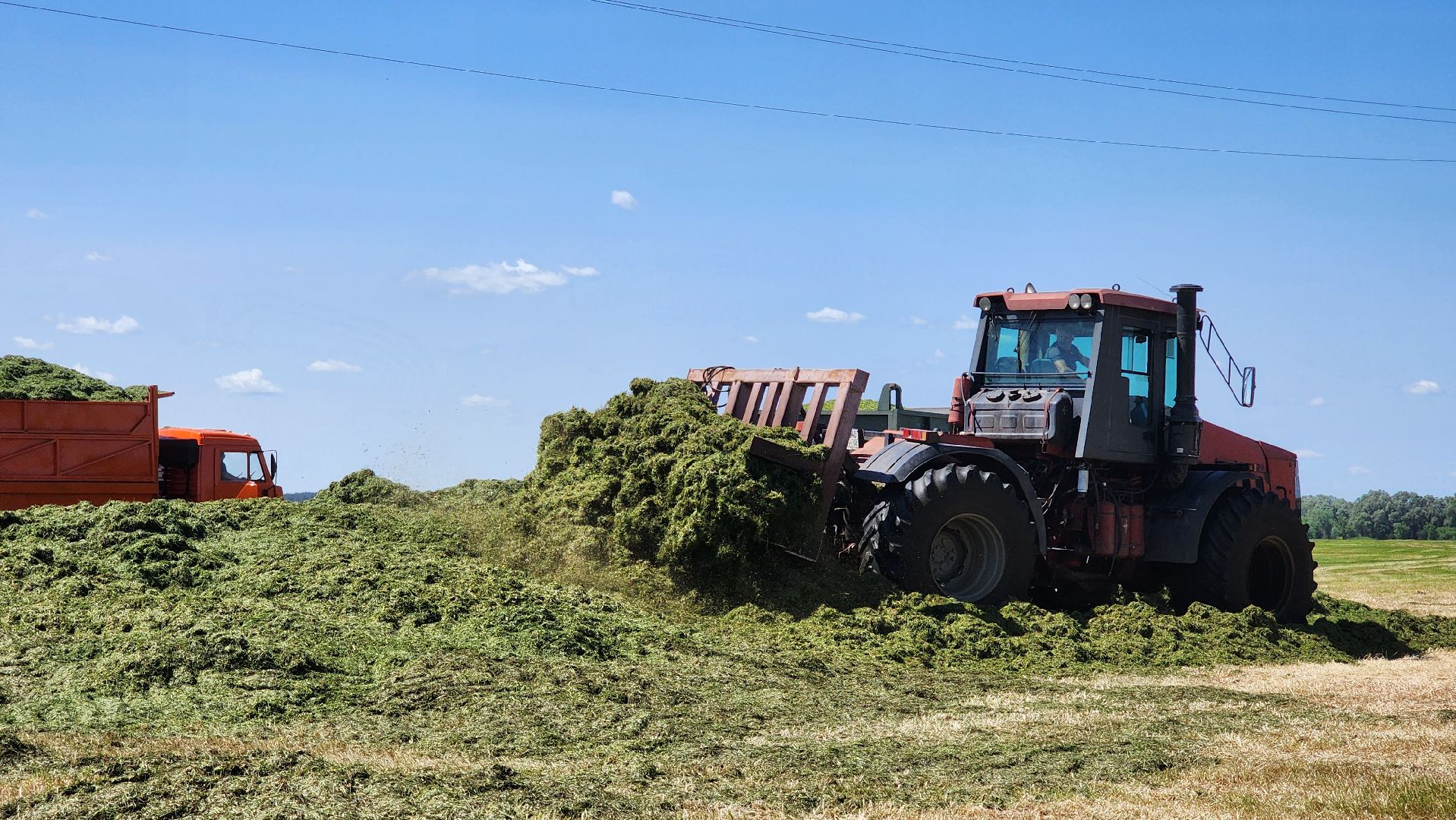 ПлемзаводПойма #СельскоеХозяйство ,
