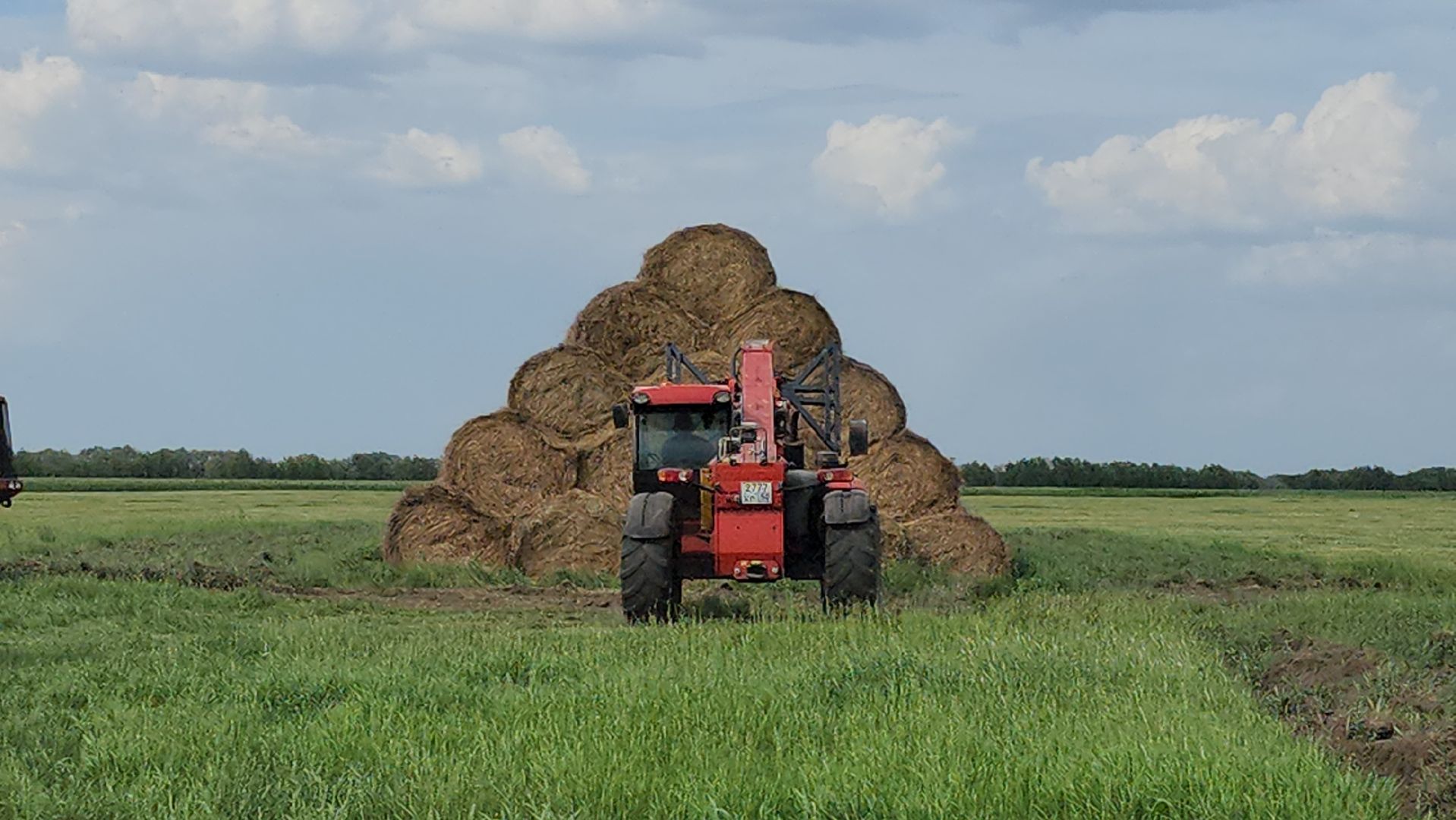 ПлемзаводПойма #СельскоеХозяйство ,