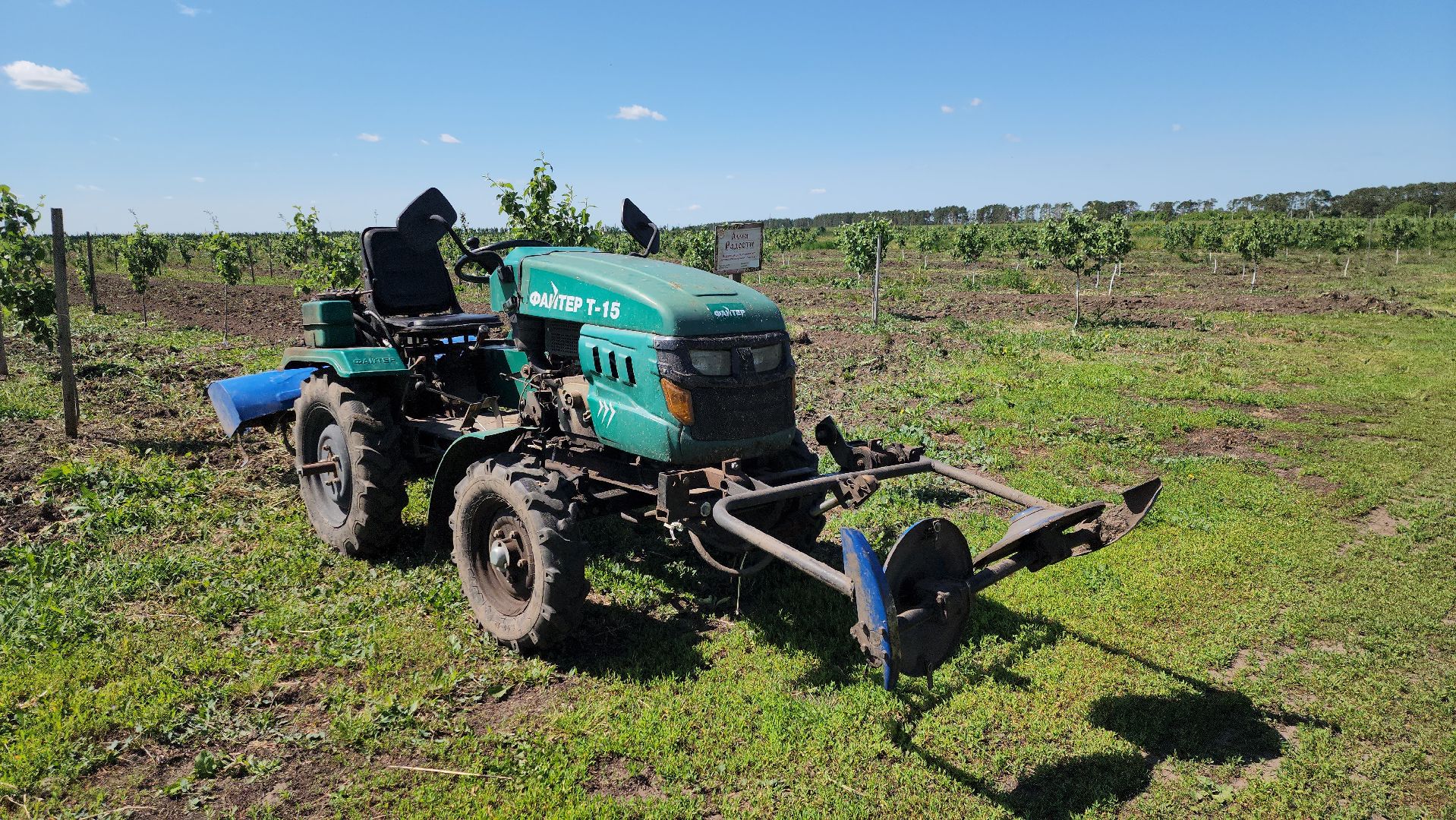луховицы, яблоневый сад, сельское хозяйство, семейное дело, кфх богатырское,