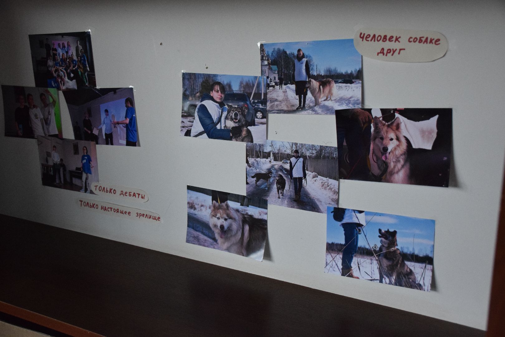 Павловский Посад, городской округ Павловский Посад, глава города, школьники, молодёжь