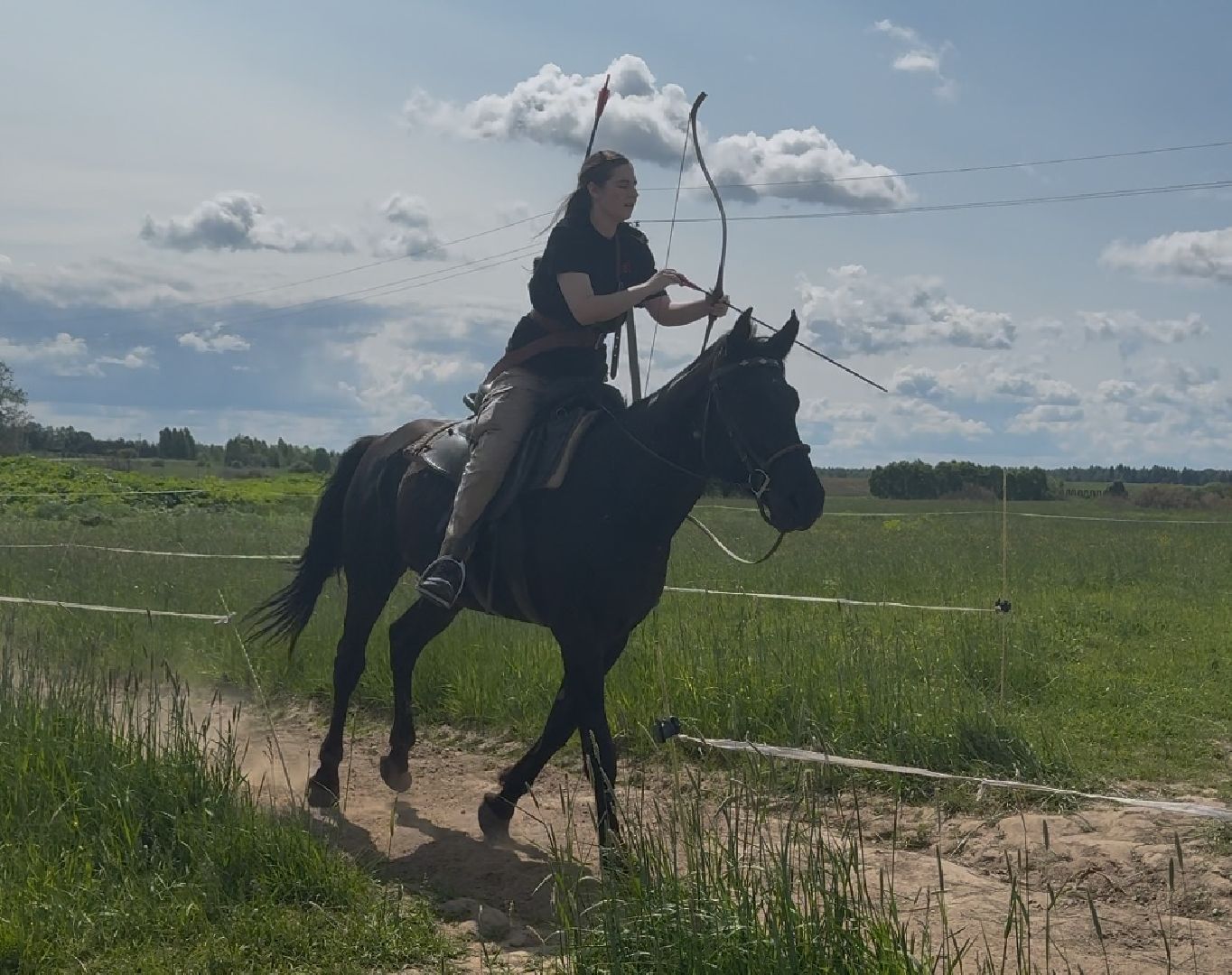 шаховская, турнир, кони, лучники,