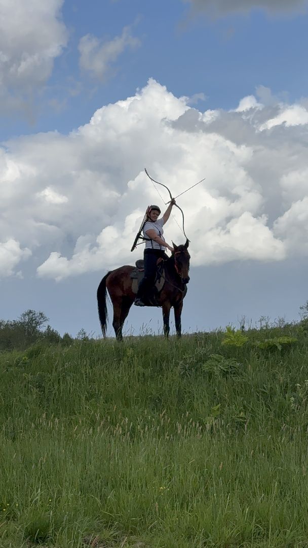 шаховская, турнир, кони, лучники,