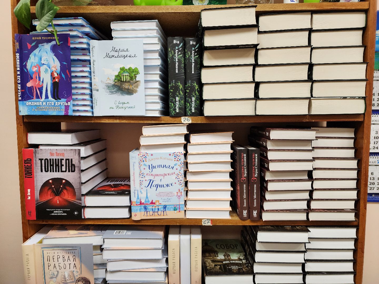 Подольск , библиотека, новые книги,