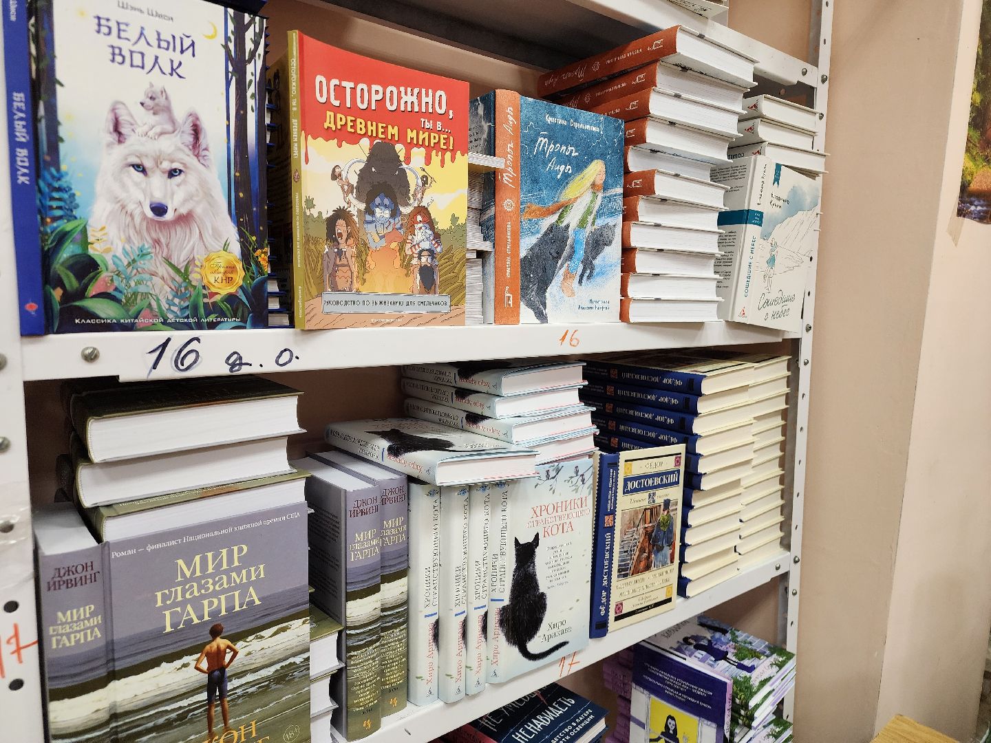 Подольск , библиотека, новые книги,