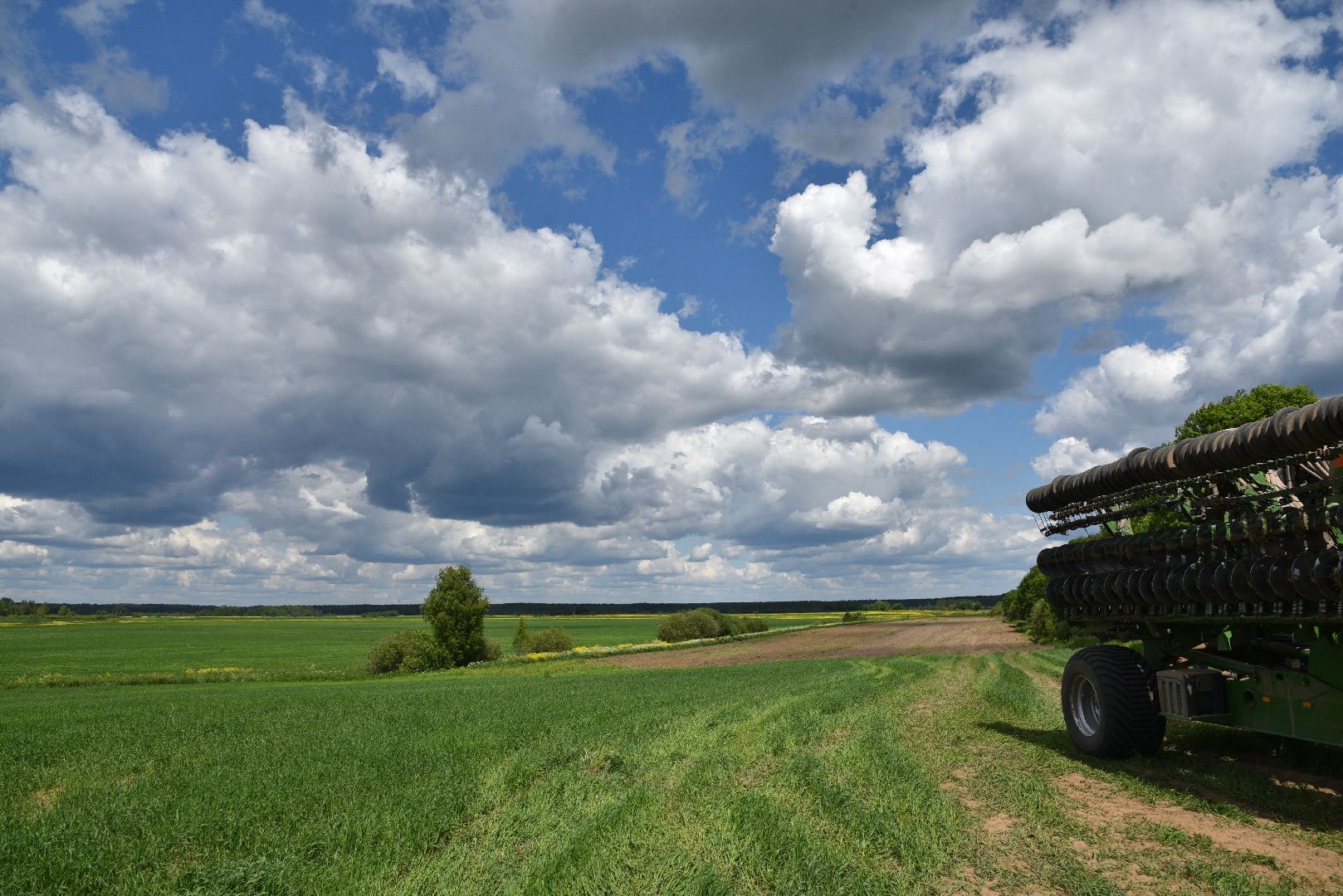 лотошино, сельское хозяйство, посевная, яровой сев,