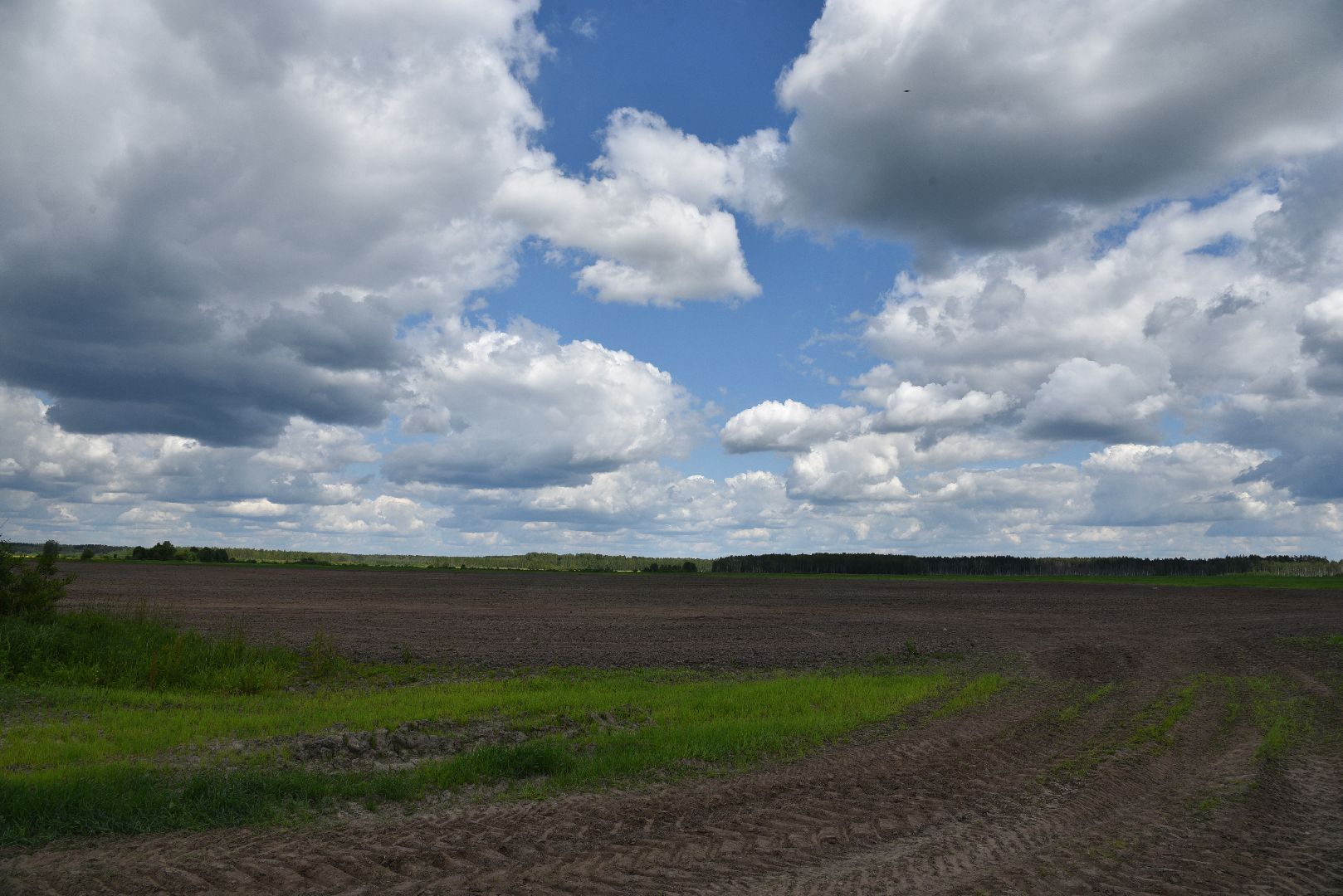 лотошино, сельское хозяйство, посевная, яровой сев,