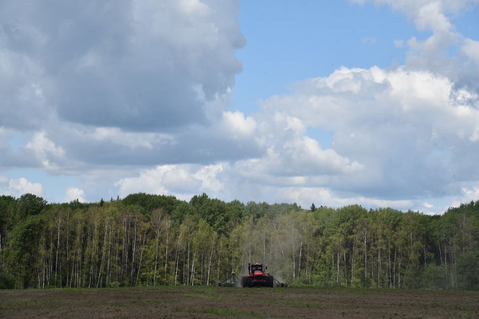 лотошино, сельское хозяйство, посевная, яровой сев,