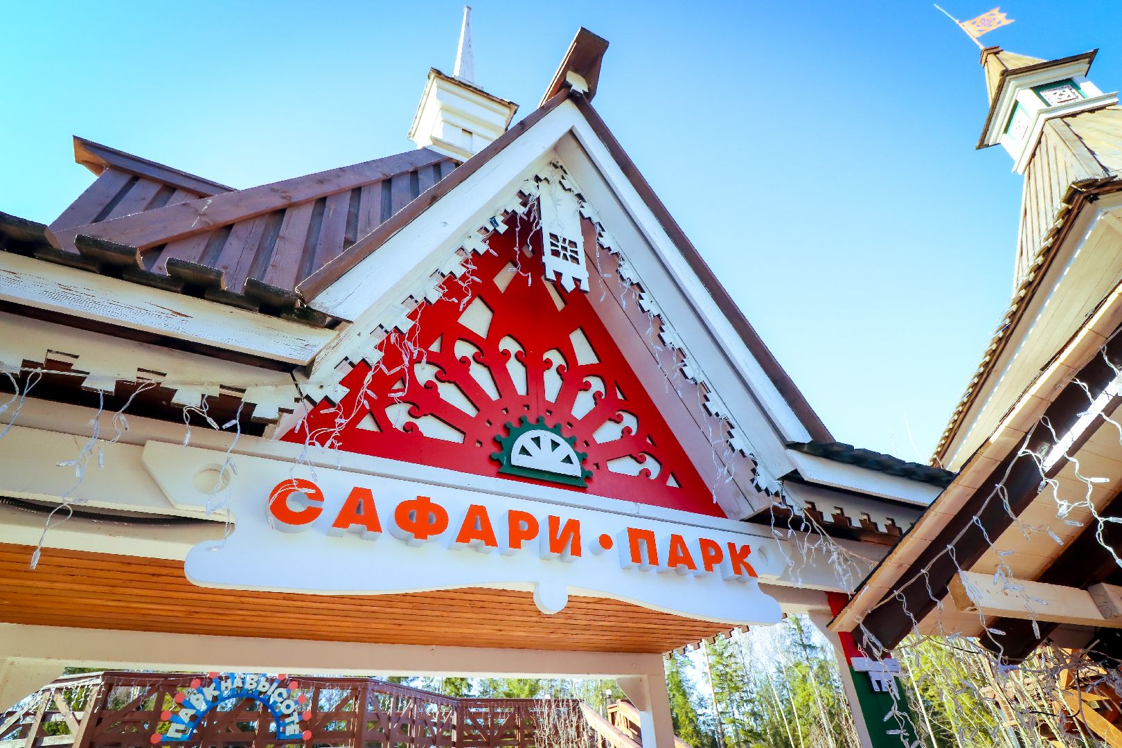 клин, общество, животные, лето в подмосковье, туризм,