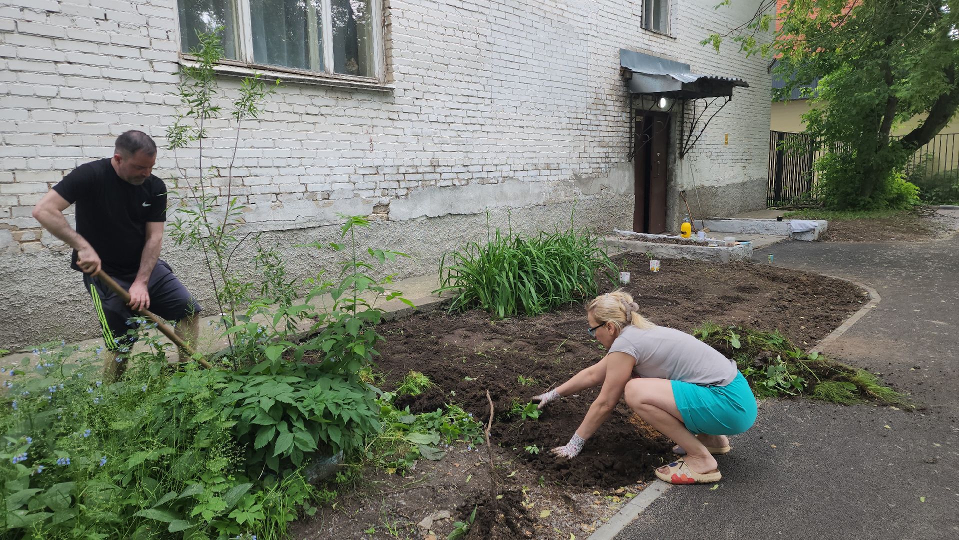 ивантеевка, пушкинский, вертикалки, цветник, жители, инициатива жителей, газон, цветы,асфальтирование дворов,