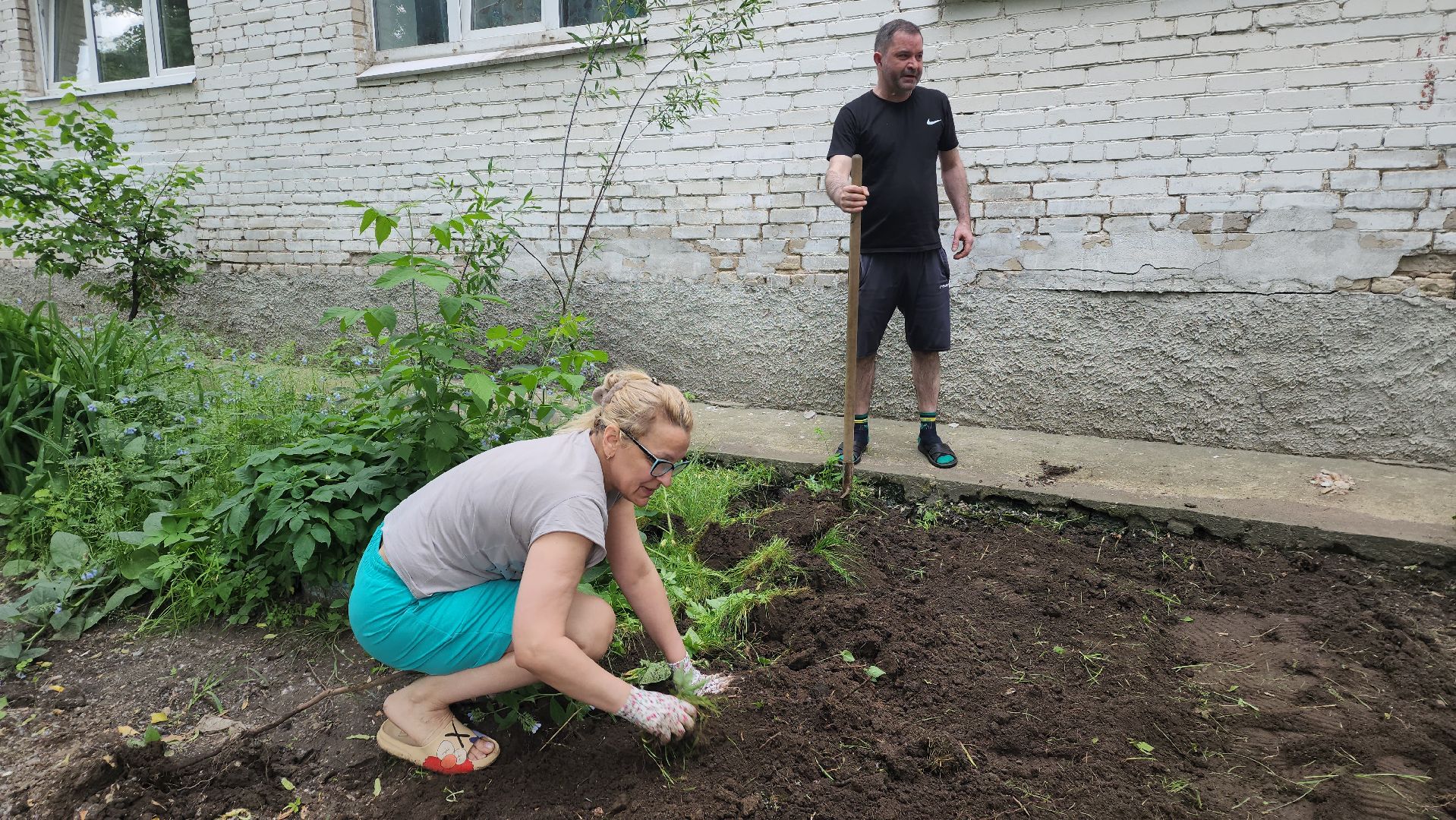 ивантеевка, пушкинский, вертикалки, цветник, жители, инициатива жителей, газон, цветы,асфальтирование дворов,