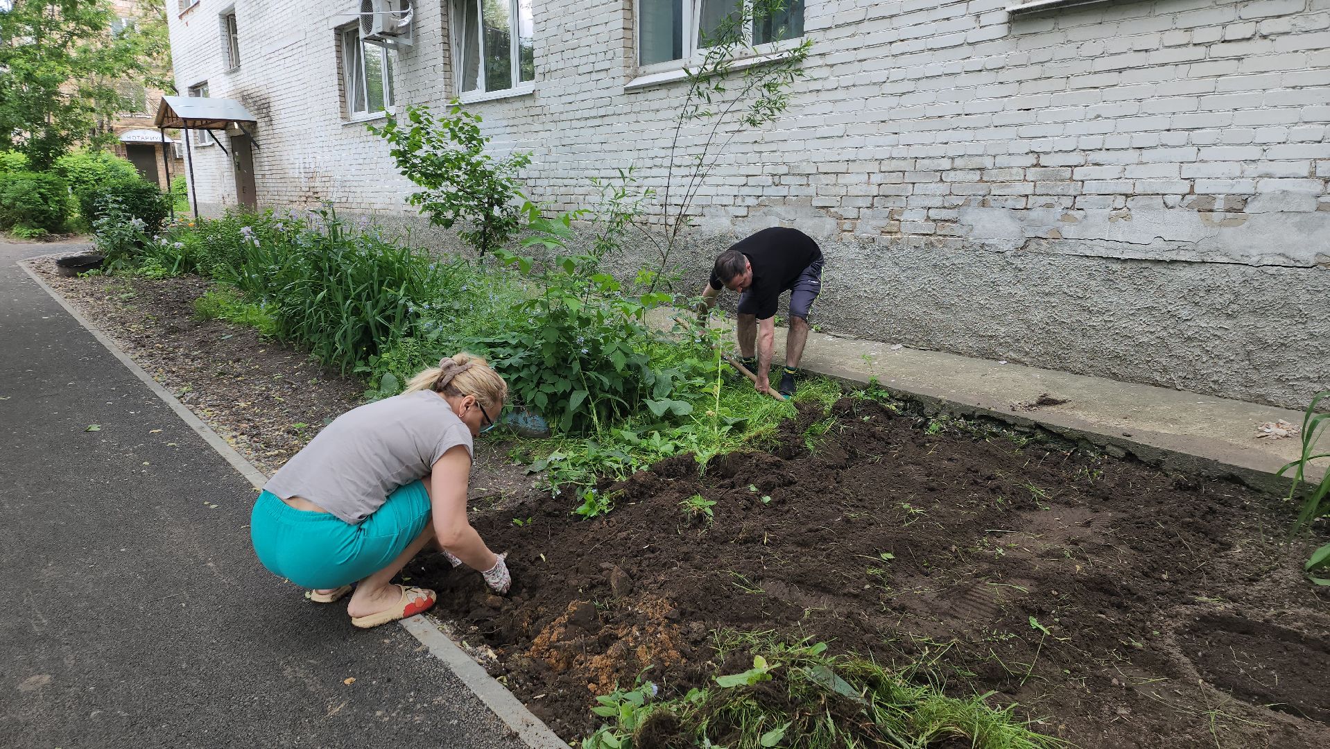 ивантеевка, пушкинский, вертикалки, цветник, жители, инициатива жителей, газон, цветы,асфальтирование дворов,