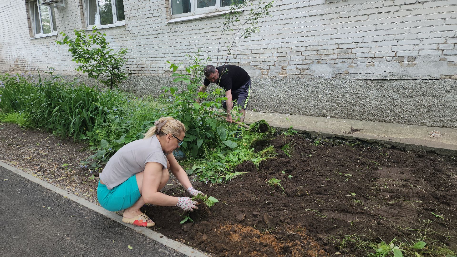ивантеевка, пушкинский, вертикалки, цветник, жители, инициатива жителей, газон, цветы,асфальтирование дворов,