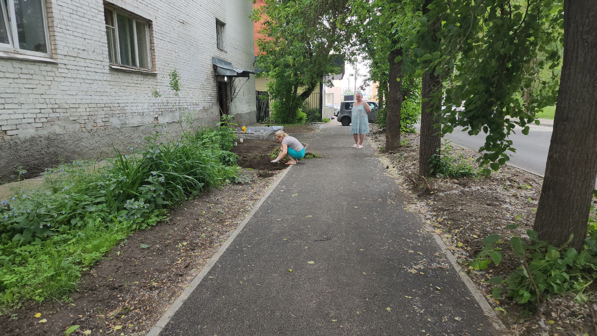 ивантеевка, пушкинский, вертикалки, цветник, жители, инициатива жителей, газон, цветы,асфальтирование дворов,