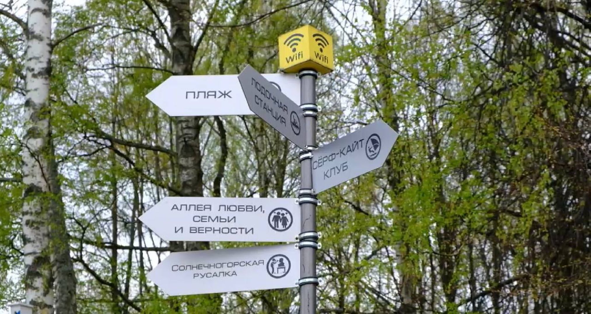 Солнечногорск, наше Подмосковье, парк, мониторинг, глава