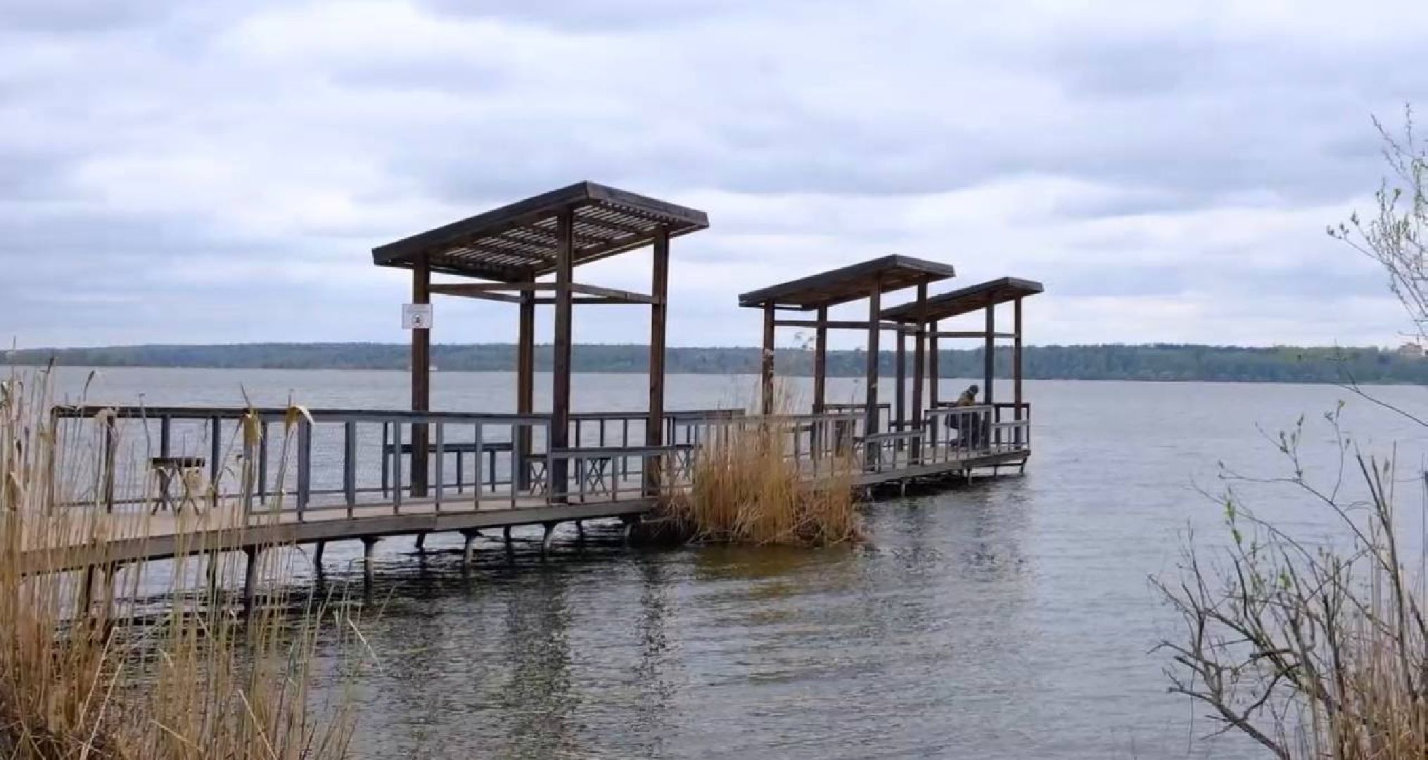 Солнечногорск, наше Подмосковье, парк, мониторинг, глава