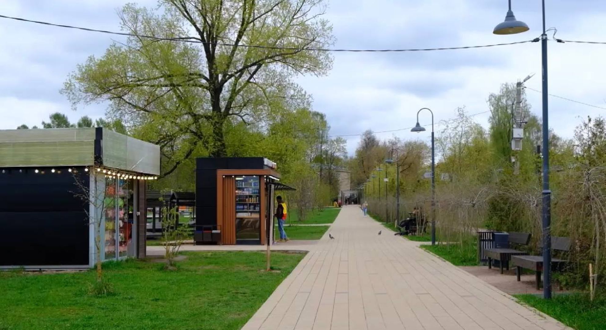 Солнечногорск, наше Подмосковье, парк, мониторинг, глава