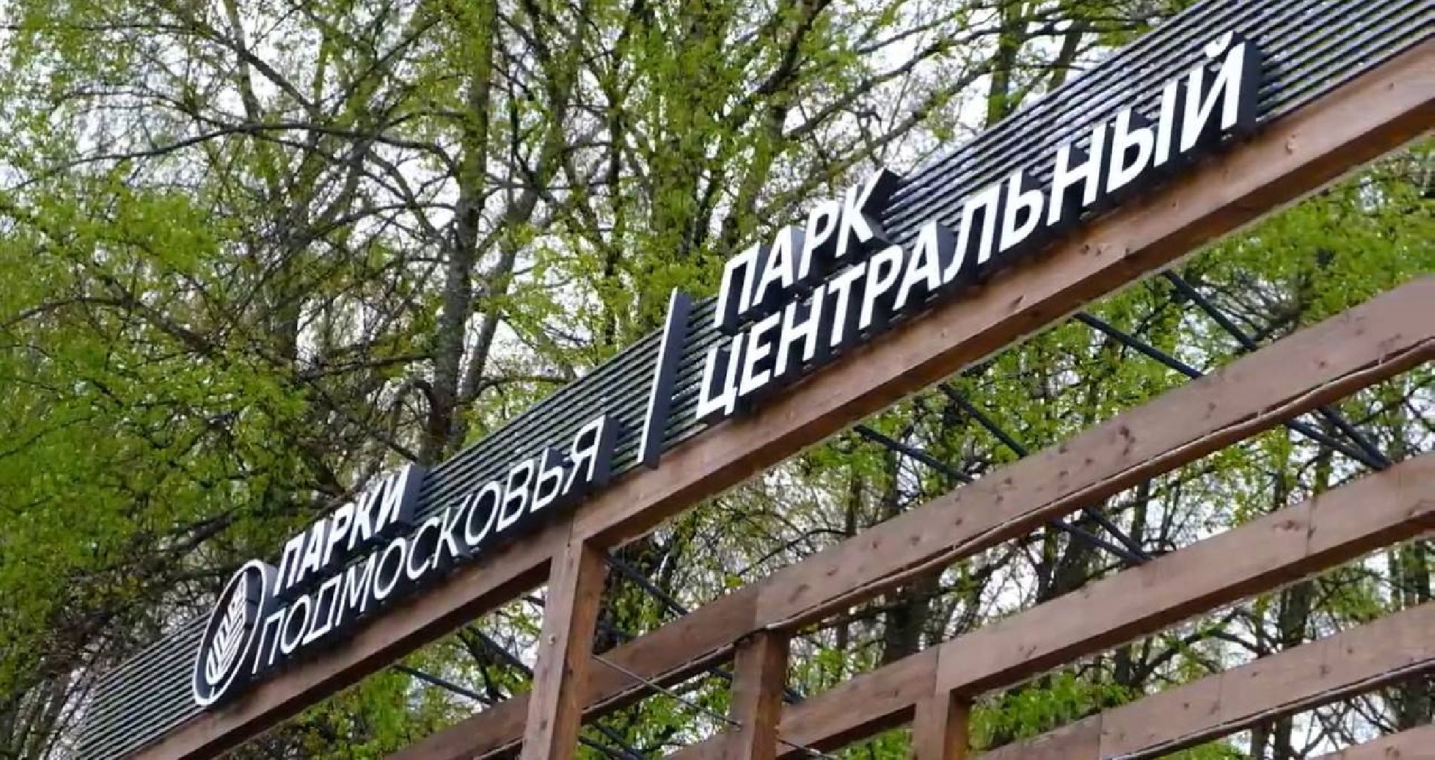 Солнечногорск, наше Подмосковье, парк, мониторинг, глава