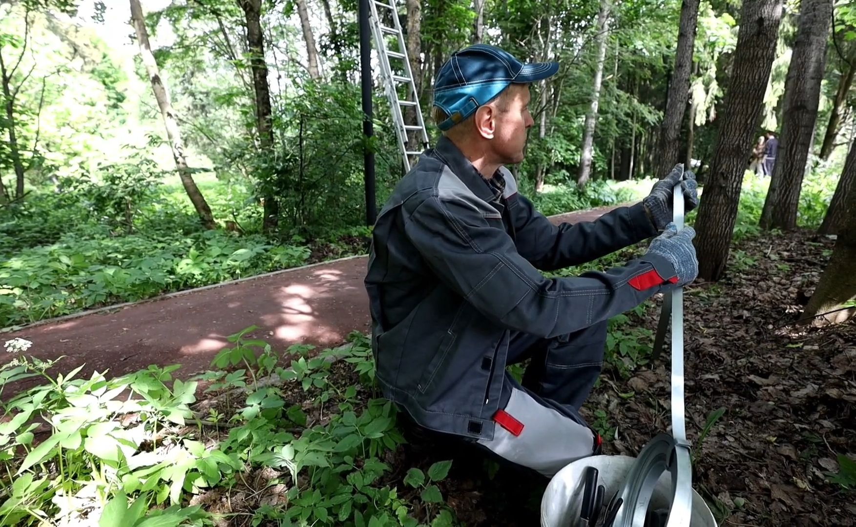 свет, фонарь, электричество,