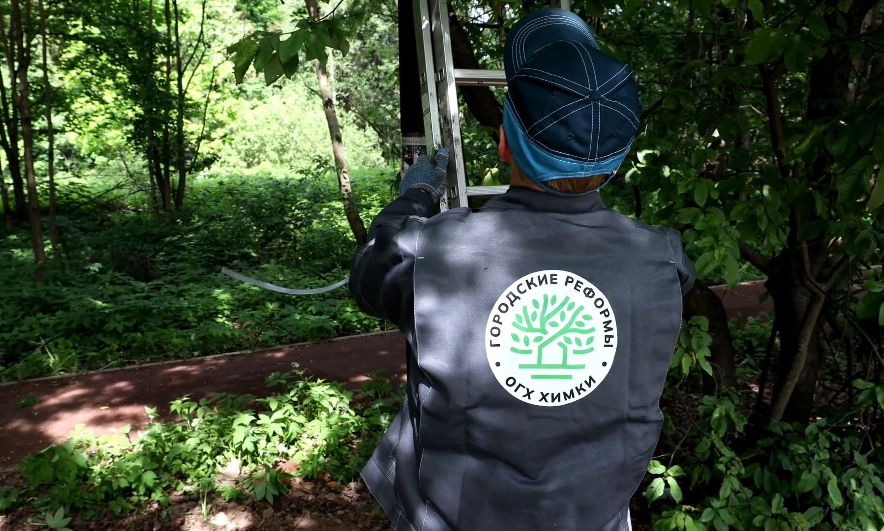 свет, фонарь, электричество,