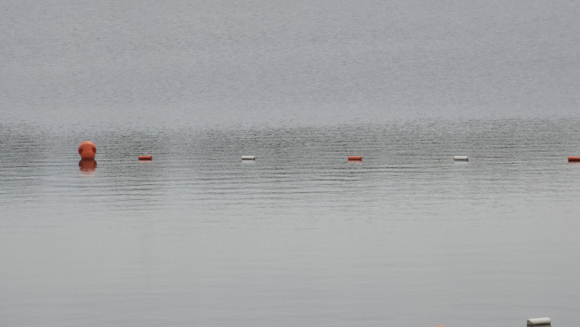 павловский посад, озеро, туризм,